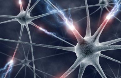 neurologue-medical-rh